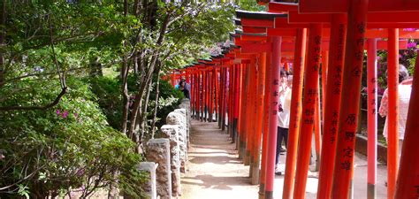  美觀神社：一個結合歷史與現代的迷人小天地！